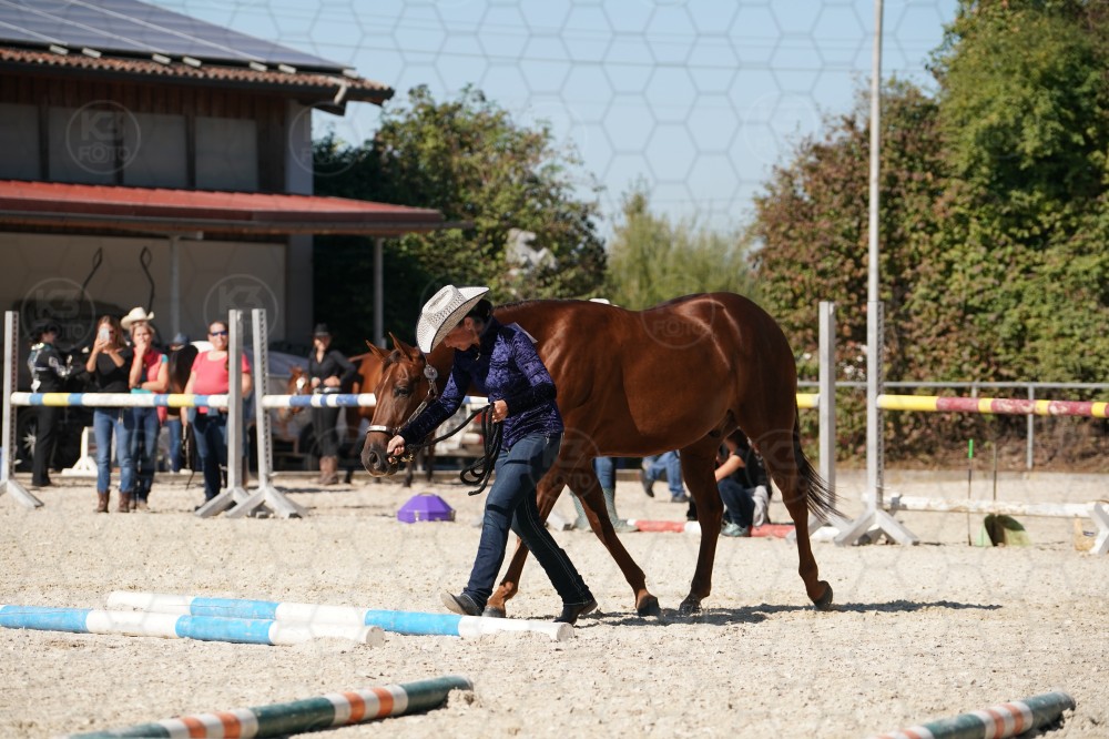 s_A_907555.JPG